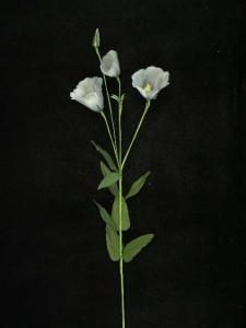 Handwrap Wild Poppy, blue, Artificial Silk Flower (lot of 12)