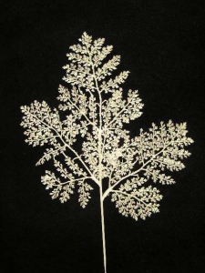 Glittered Pine Spray, white (lot of 12)