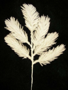 Flocked White Scotch Pine Spray (lot of 12)