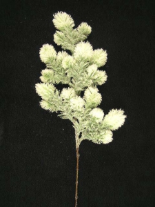 Flocked Snow Spruce Spray (lot of 6)